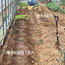 일송원 이미지