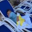 대명2농장 이미지