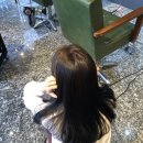 살롱르몽드