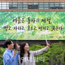 교보생명 이미지