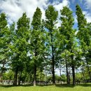 동화울 수변공원 이미지