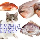 어전활어횟집 이미지