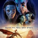 제일정해물 이미지