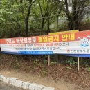 신광명회식당 | 인천 무의도맛집 횟집 “신광명회식당” 솔직후기