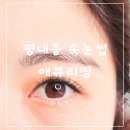 평내동 하이마트～리치플러스 | 남양주 평내동 속눈썹 잘하는 애뷰리띵 속눈썹연장 후기