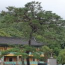 산성시장2 이미지