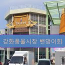 강화도 1박2일 여행 강화풍물시장, LUGE(루지), 진복호, 섬마을펜션, 노체카페