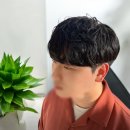 샬롬샵 이미지
