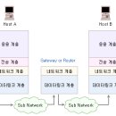 와이아이피 이미지