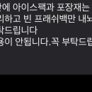 나이때까지 쿠팡프레쉬 얼음팩 내가 버리는줄 몰랏어;; 이미지