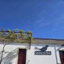 돈이농장 이미지