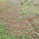 율촌농장 이미지