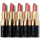 브라운스프링 이미지