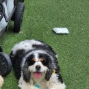 베베네 개스트하우스 이미지