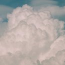 인간행동과사회환경 이미지