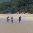 서포리해변2 이미지