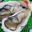 독도수산 - 동래구 온천장로125번길 41-16 | 독도수산