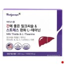 바디스콥 이미지