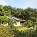 정원이 아름다운 집 이미지