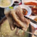 대양뒤 이미지