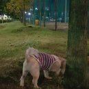 이마트24 미장점