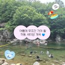 왕성차바닥 | 하동 세이암계곡｜8월 최고의 물놀이 포인트, 올해 두번이나 간 후기