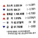 당왕모터스 이미지