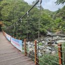 배내대리길 이미지