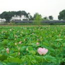 서동생활공원 이미지