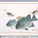 강담 이미지