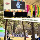 주공꽃마차 | 화순 고인돌 가을꽃 축제 주말 방문후기 꿀팁 공유