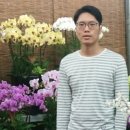 전국꽃배달 이미지