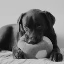 계양SKY동물메디컬센터 이미지