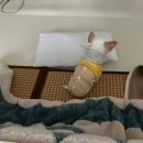 청길강변로 | 12월 일상로그(1) : 타코야끼의 계절