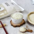 하미아미 이미지