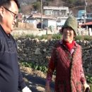 춘화농장 이미지