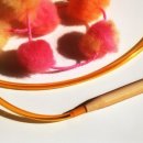 대구한의대학교 한방산업대학원 이미지