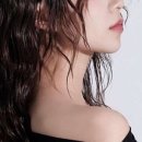 오위드 이미지