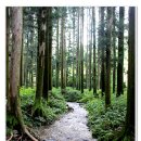 차밭매점 이미지