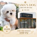 일동생활건강 대구지점 | 대구애견분양 마마스미독에서 지내고 있는 말티즈의 하루