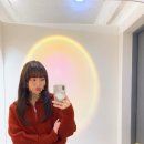 비비엔느 이미지