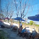 뮌스터담 이미지