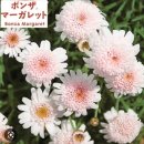 아름바름
