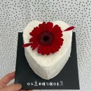 대구 중구 당일 제작 레터링 생일 케이크 | 아호페케이크 내돈내산 후기