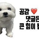 홈플러스(주)간석점 이미지