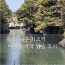 아시아레저(주) | 제주 쇠소깍 카약 테우 가격 운영시간 아이랑 탑승 후기 투명카약 미운영 이유