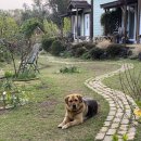 표선가시리민박 이미지