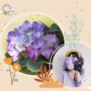 대륙붕 농업회사법인 주식회사 | 플라워파크 수국꽃박람회 6.10~ 튤립꽃박람회 때 수국 미리 본 후기 태안꽃 박람회 주차 시간절약 꿀팁