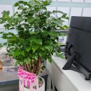 다솜옷수선 이미지