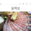 구*송